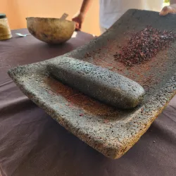 Cacao Farm Tours - Punta Gorda