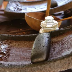 Cacao Farm Tours - Punta Gorda