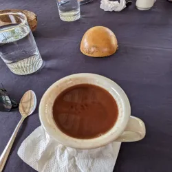 Cacao Farm Tours - Punta Gorda