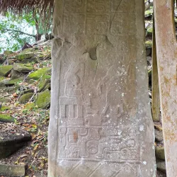 Nim Li Punit Mayan Ruins - Punta Gorda