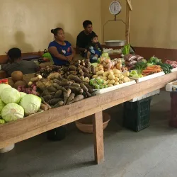 Punta Gorda Market - Punta Gorda