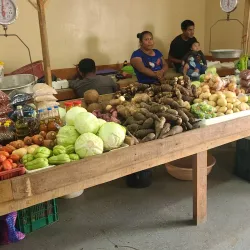 Punta Gorda Market - Punta Gorda