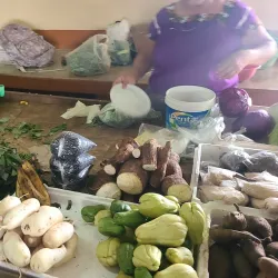 Punta Gorda Market - Punta Gorda