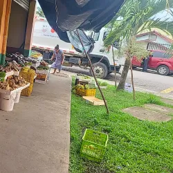 Punta Gorda Market - Punta Gorda