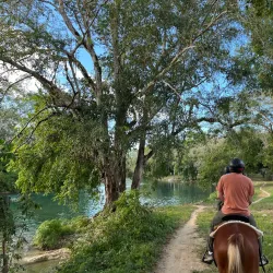 Horseback Riding Tours - San Ignacio