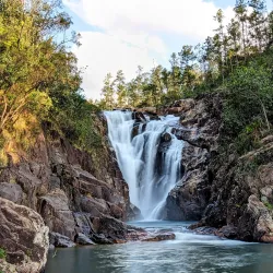 Mountain Pine Ridge Forest Reserve - San Ignacio