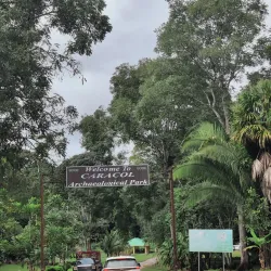Mountain Pine Ridge Forest Reserve - San Ignacio