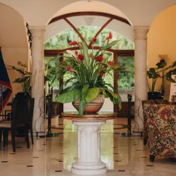 San Ignacio Resort Hotel's Tropical Rainforest Trails - San Ignacio