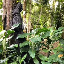 San Ignacio Resort Hotel's Tropical Rainforest Trails - San Ignacio