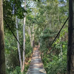 The Belize Botanic Gardens - San Ignacio