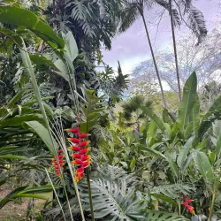 The Belize Botanic Gardens - San Ignacio