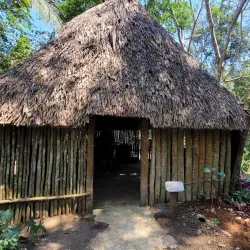 The Belize Botanic Gardens - San Ignacio