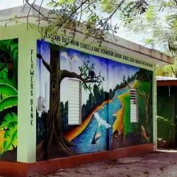 The Community Baboon Sanctuary - San Ignacio