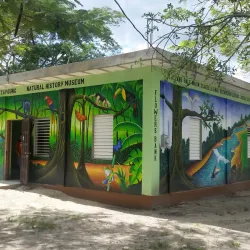 The Community Baboon Sanctuary - San Ignacio