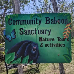 The Community Baboon Sanctuary - San Ignacio