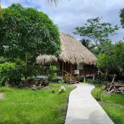 The Community Baboon Sanctuary - San Ignacio