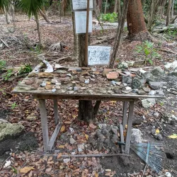 Marco Gonzalez Maya Site - San Pedro