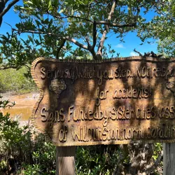 Marco Gonzalez Maya Site - San Pedro