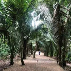 Mayan Ruins of Lamanai - San Pedro