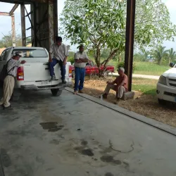 Big Falls - Toledo Settlement