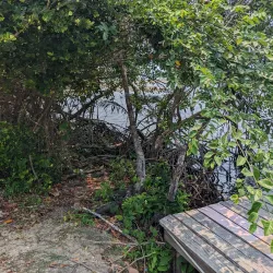 Garifuna Cultural Center - Toledo Settlement