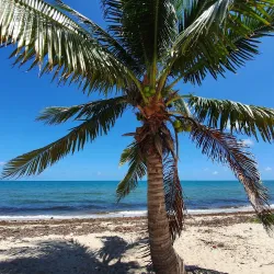 Toledo District Cultural Tours - Toledo Settlement