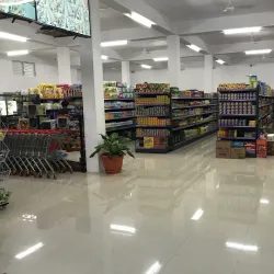 Toledo Settlement Market - Toledo Settlement