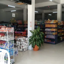 Toledo Settlement Market - Toledo Settlement