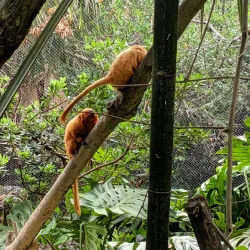 Bermuda Aquarium, Museum and Zoo (BAMZ) - Devonshire