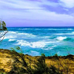 Devonshire Bay Beach - Devonshire