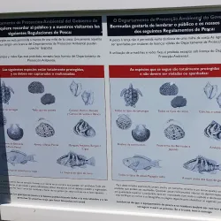 Devonshire Bay - Devonshire