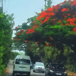 Devonshire Parish Church - Devonshire