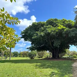 Bermuda Botanical Gardens - Paget Parish