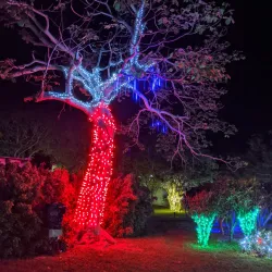 Bermuda Botanical Gardens - Paget Parish