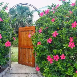 Bermuda Botanical Gardens - Paget Parish