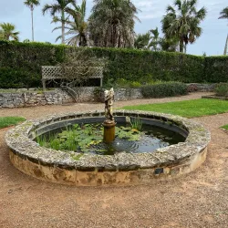 Bermuda Botanical Gardens - Paget Parish