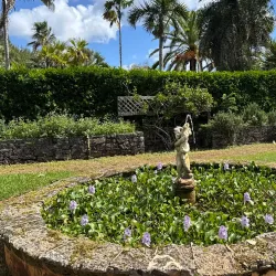 Bermuda Botanical Gardens - Paget Parish