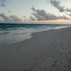 Elbow Beach - Paget Parish