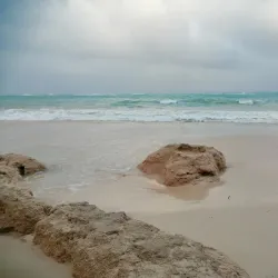 Elbow Beach - Paget Parish