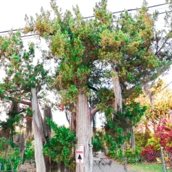 Harrington Sound - Paget Parish