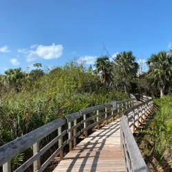 Paget Marsh Nature Reserve - Paget Parish