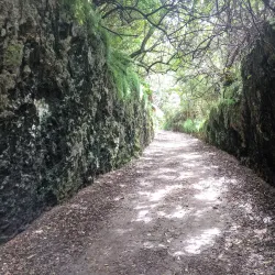 Paget Marsh Nature Reserve - Paget Parish