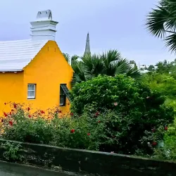 Paget Marsh Nature Reserve - Paget Parish