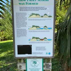 Paget Marsh Nature Reserve - Paget Parish