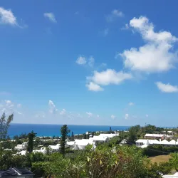 Paget Marsh Nature Reserve - Paget Parish