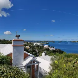 Paget Marsh Nature Reserve - Paget Parish