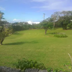 Paget Marsh Nature Reserve - Paget Parish
