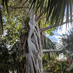 Paget Marsh Nature Reserve - Paget Parish