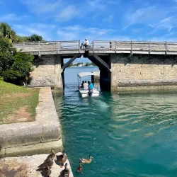 Somerset Bridge - Paget Parish