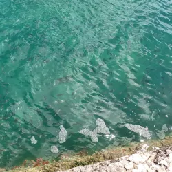 Somerset Bridge - Paget Parish